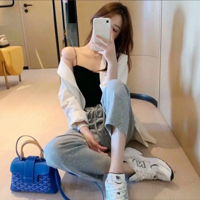 超级无敌掌门狗：引鹅入室